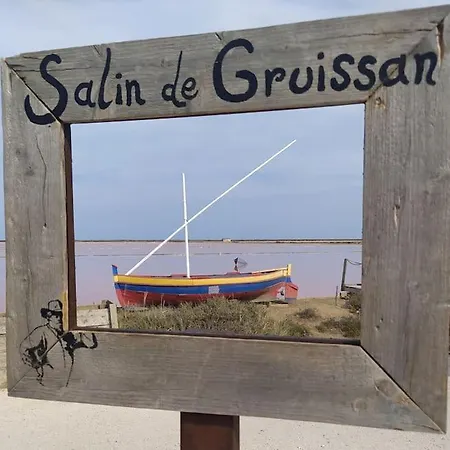 Joli Avec Grande Et Belle Terrasse, Au Pied De La Du Grazel! Gruissan
