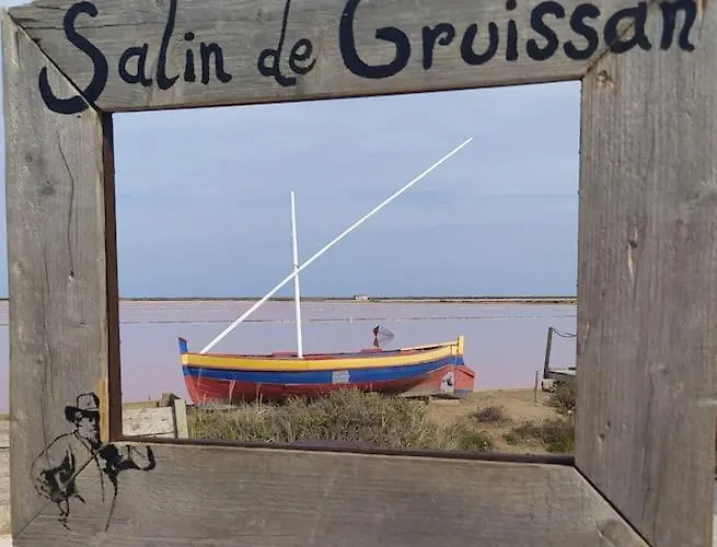 Joli Avec Grande Et Belle Terrasse, Au Pied De La Du Grazel! Gruissan